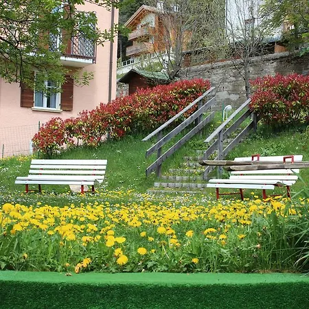 Hotel Rosalpina 3*
